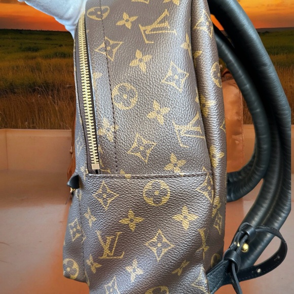 Louis Vuitton Monogram Palm Springs Backpack PM - Picture 4 of 17